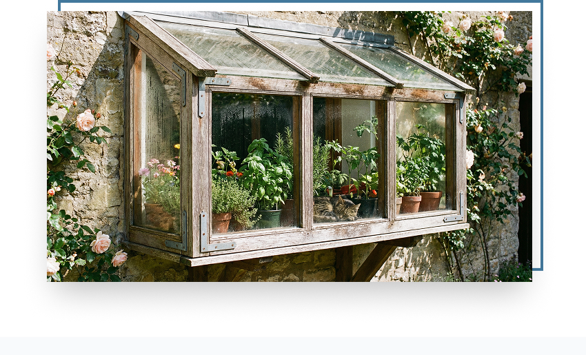 Garden window with wooden frame, glass sides and roof, filled with various plants and herbs, surrounded by climbing roses on a stone wall, emphasizing indoor gardening and natural light.